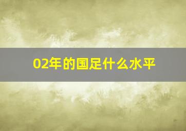 02年的国足什么水平