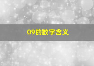 09的数字含义