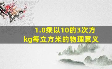 1.0乘以10的3次方kg每立方米的物理意义