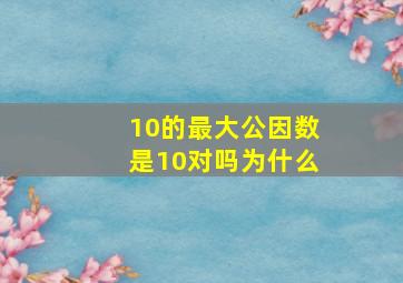 10的最大公因数是10对吗为什么