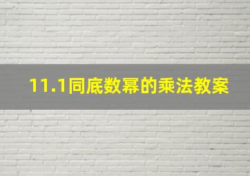 11.1同底数幂的乘法教案