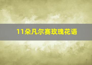 11朵凡尔赛玫瑰花语