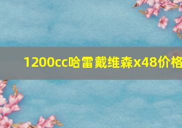 1200cc哈雷戴维森x48价格