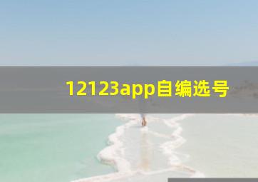 12123app自编选号