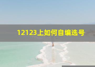 12123上如何自编选号