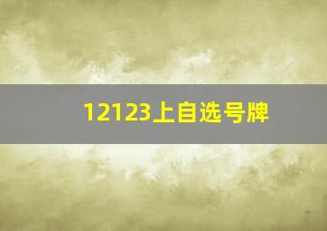 12123上自选号牌