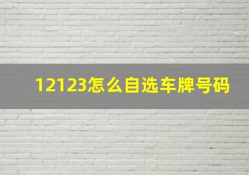 12123怎么自选车牌号码