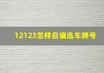 12123怎样自编选车牌号