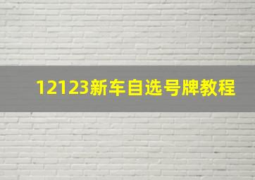 12123新车自选号牌教程