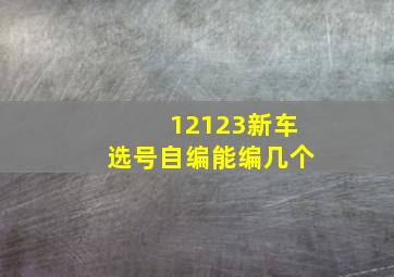 12123新车选号自编能编几个