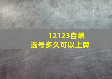 12123自编选号多久可以上牌