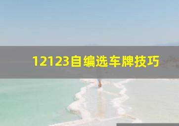 12123自编选车牌技巧