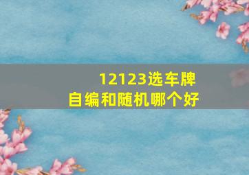 12123选车牌自编和随机哪个好