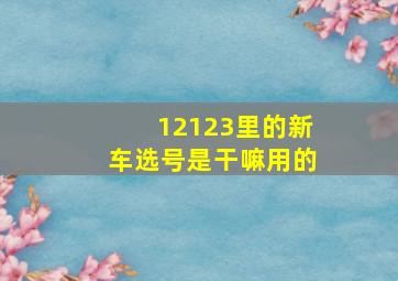 12123里的新车选号是干嘛用的