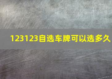 123123自选车牌可以选多久