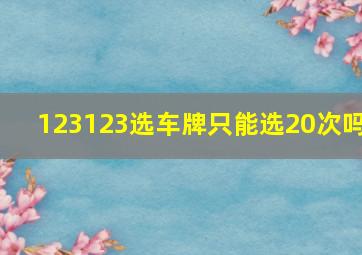 123123选车牌只能选20次吗