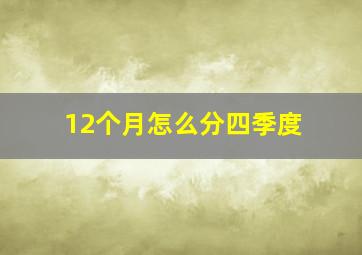 12个月怎么分四季度