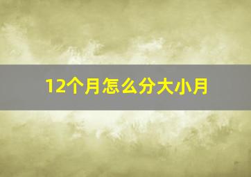 12个月怎么分大小月