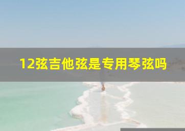 12弦吉他弦是专用琴弦吗