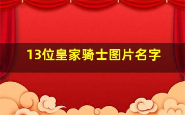 13位皇家骑士图片名字