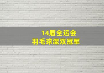 14届全运会羽毛球混双冠军