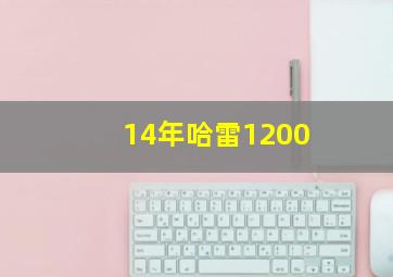 14年哈雷1200