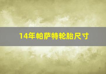 14年帕萨特轮胎尺寸