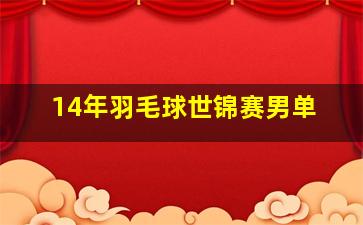 14年羽毛球世锦赛男单