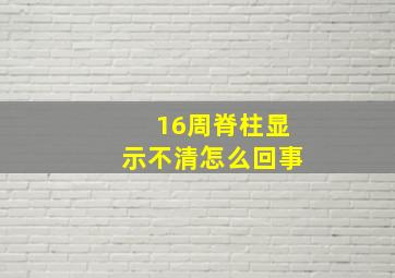 16周脊柱显示不清怎么回事