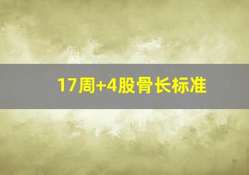 17周+4股骨长标准