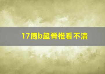 17周b超脊椎看不清