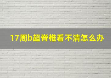 17周b超脊椎看不清怎么办