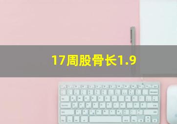 17周股骨长1.9