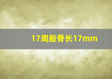 17周股骨长17mm