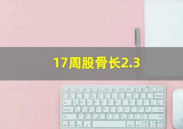 17周股骨长2.3