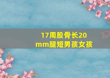 17周股骨长20mm腿短男孩女孩