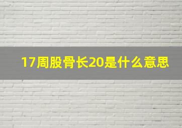 17周股骨长20是什么意思