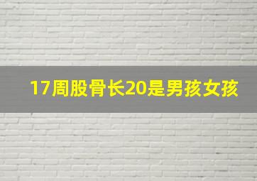 17周股骨长20是男孩女孩