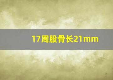 17周股骨长21mm