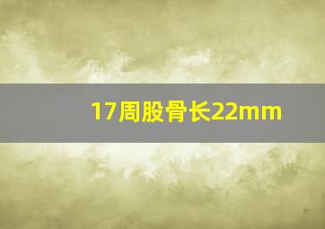 17周股骨长22mm