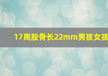 17周股骨长22mm男孩女孩