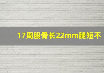 17周股骨长22mm腿短不