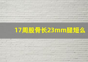 17周股骨长23mm腿短么