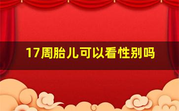 17周胎儿可以看性别吗