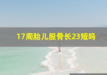 17周胎儿股骨长23短吗