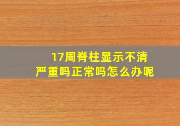 17周脊柱显示不清严重吗正常吗怎么办呢