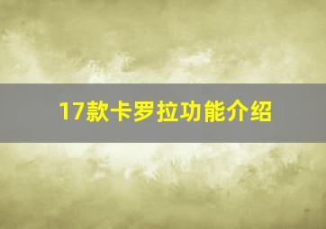 17款卡罗拉功能介绍