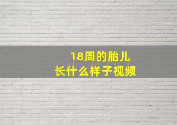 18周的胎儿长什么样子视频