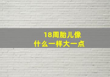 18周胎儿像什么一样大一点