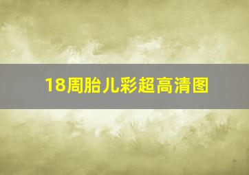 18周胎儿彩超高清图